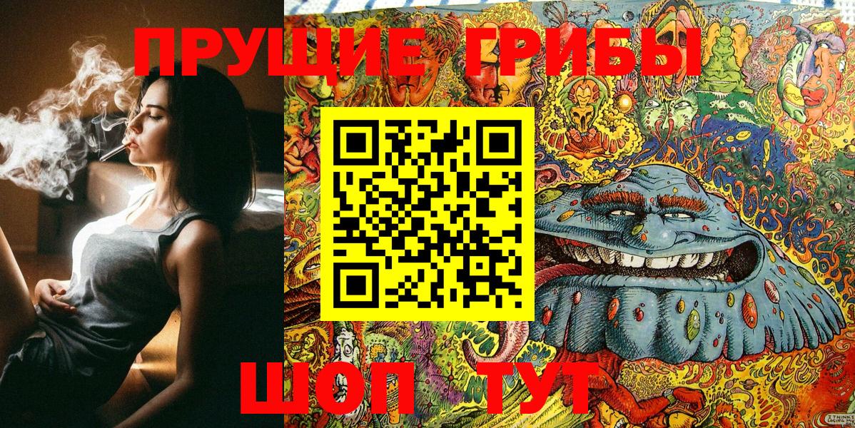 цены наркотик  Вход с VPN  Северск  Псилоцибиновые грибы Psilocybine cubensis 