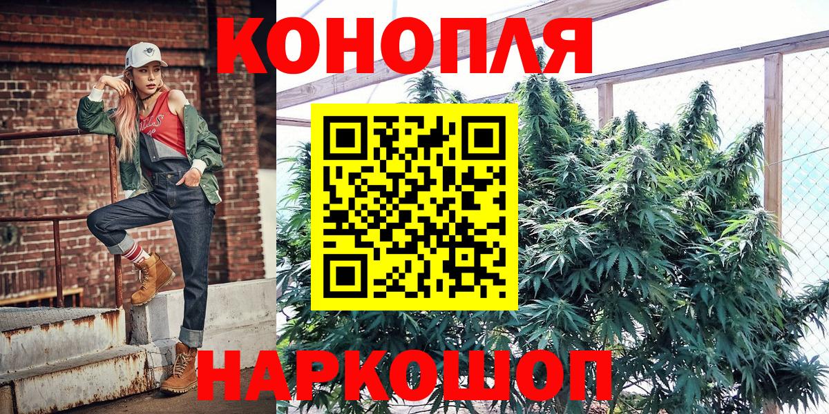 Шишки марихуана MAZAR  Вход с VPN  Каннабис планчик  Конопля план  Конопля конопля  Северск 